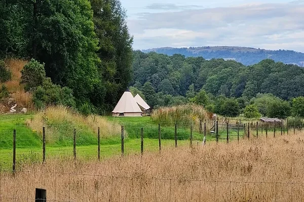 Noble Wood Camping Noble Wood Camping in Grange over Sands
